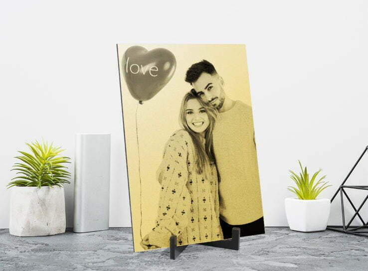 גולדי תמונה ראשית