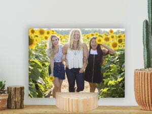 תמונה ראשית