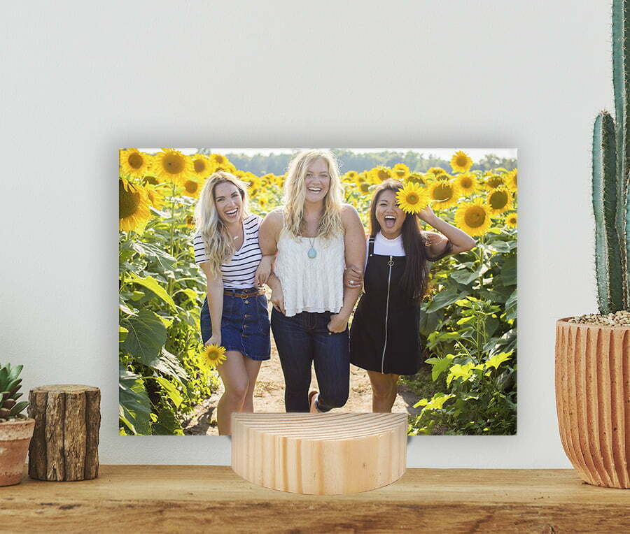 תמונה ראשית