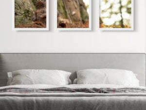 מוצר ניסיון רוני